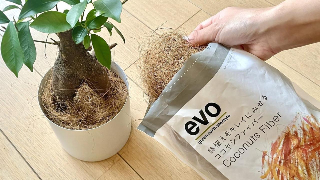 フワッと乗せるだけで垢抜ける。植物にもやさしい｢ココヤシファイバー｣ってなんだ？